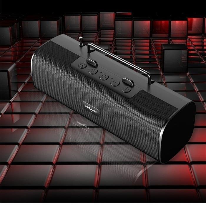 Bluetooth 5.0 Speaker with FM Radio