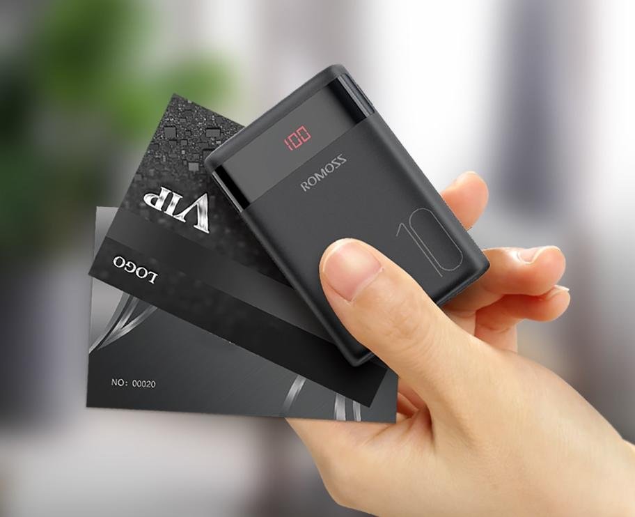 10000 mAh Portable Double USB Power Bank