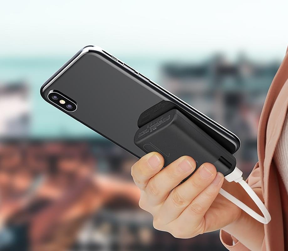 10000 mAh Portable Double USB Power Bank