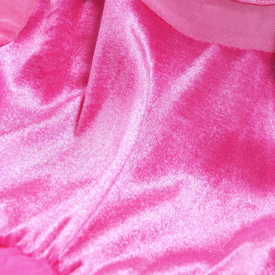 Sleeping Beauty Dress