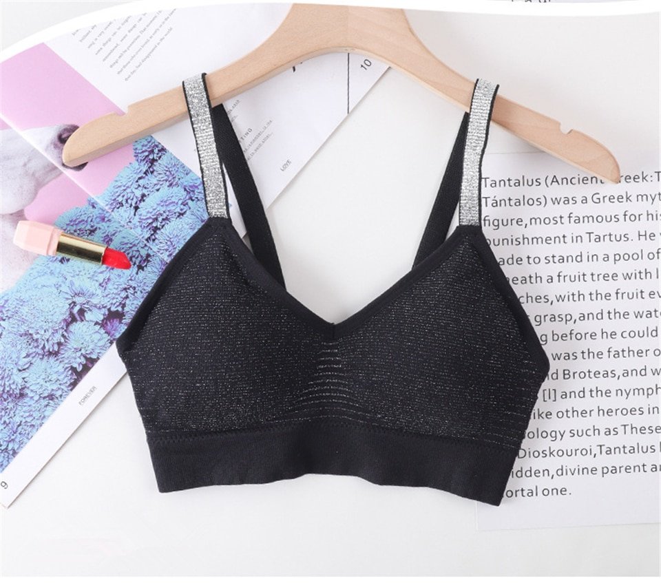 Quick Dry Padded Seamless Sport Bra for Women