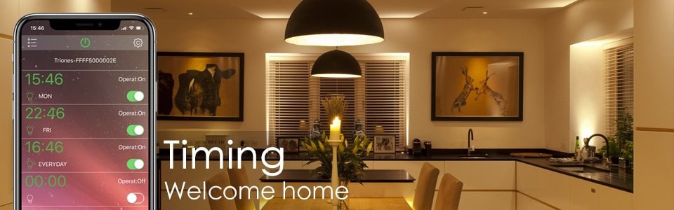 Wireless Smart RGB Light Bulb