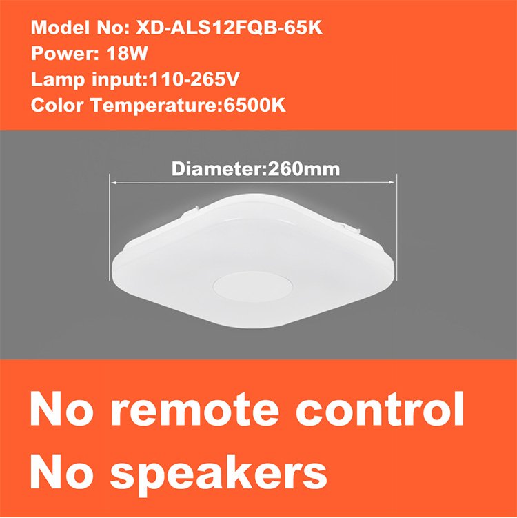 Smart Round Metal Ceiling Light