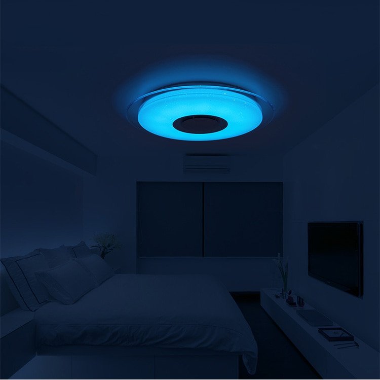 Smart Round Metal Ceiling Light